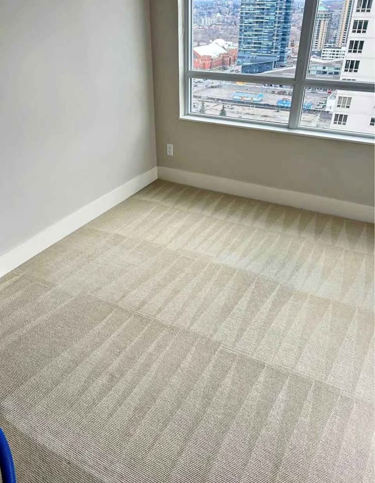 Freshly vacuumed carpet in a Toronto condo with skyline view